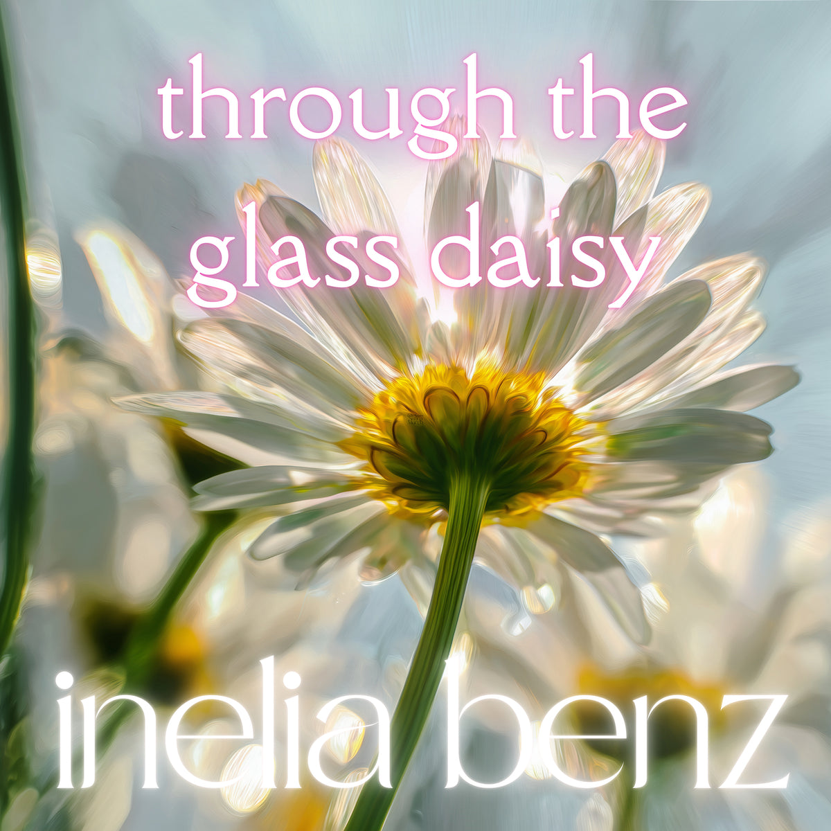 Through The Glass Daisy